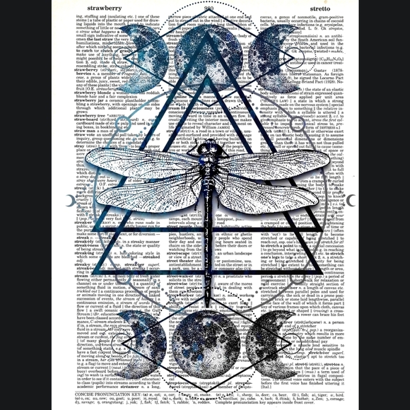 Moon Moth Sacred Geometry Spiritual Book Page Art Print Bundle Dragonfly - Picture 5 of 7